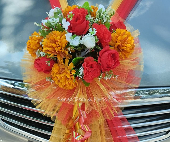 Protea photo 5